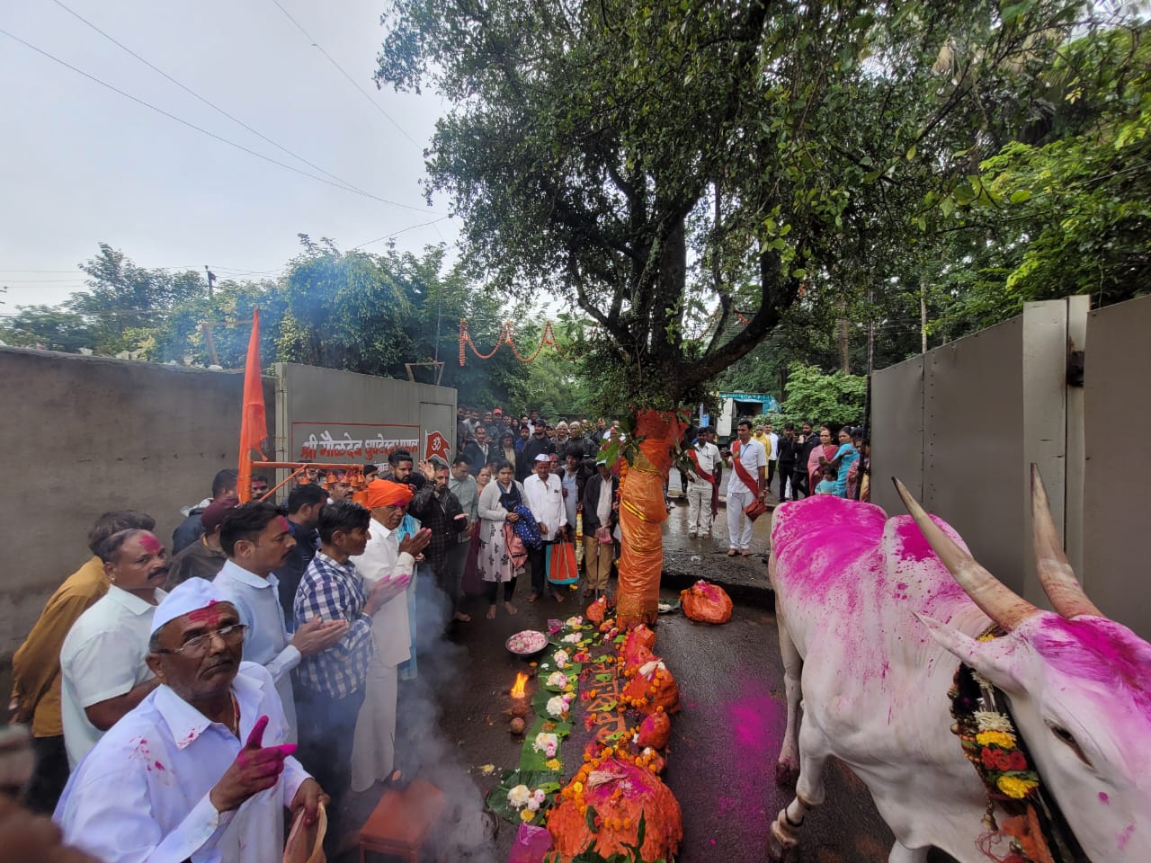 *धुपटेश्वर( गौळदेव )पूजा मोठ्या उत्साहात पार*