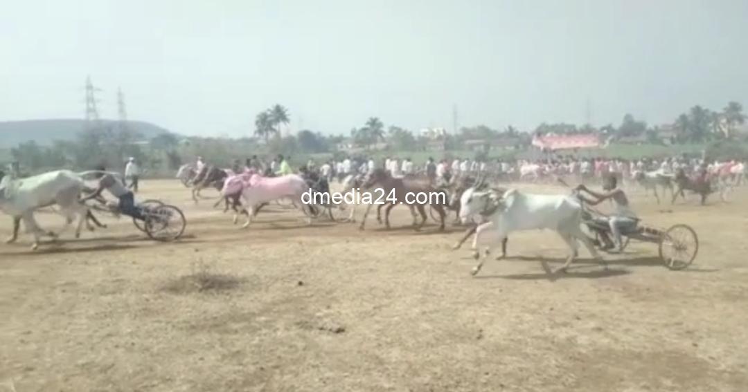 *महालक्ष्मी यात्रेनिमित्त आयोजित बैलगाडी शर्यती उत्साहात संपन्न*