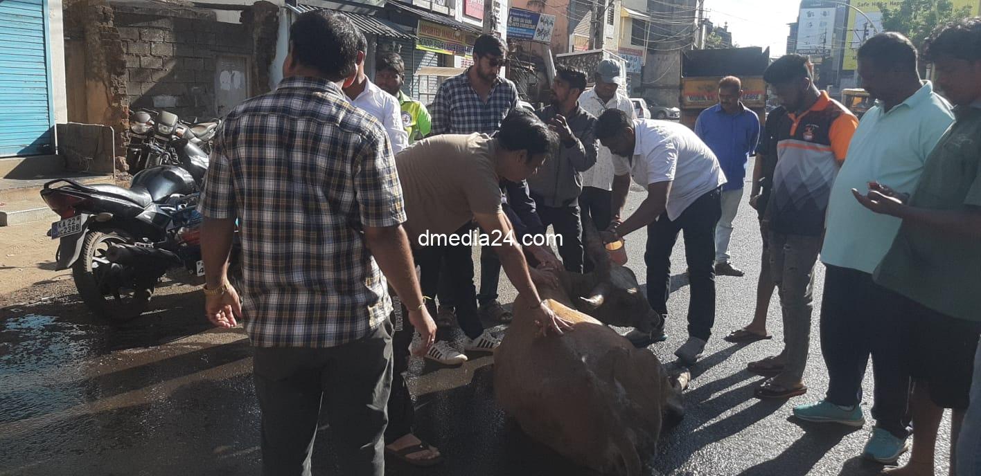 *असंख्य मुक्या जनावराला जीवदान देणारा समाजसेवक भरत नागरोळी* 