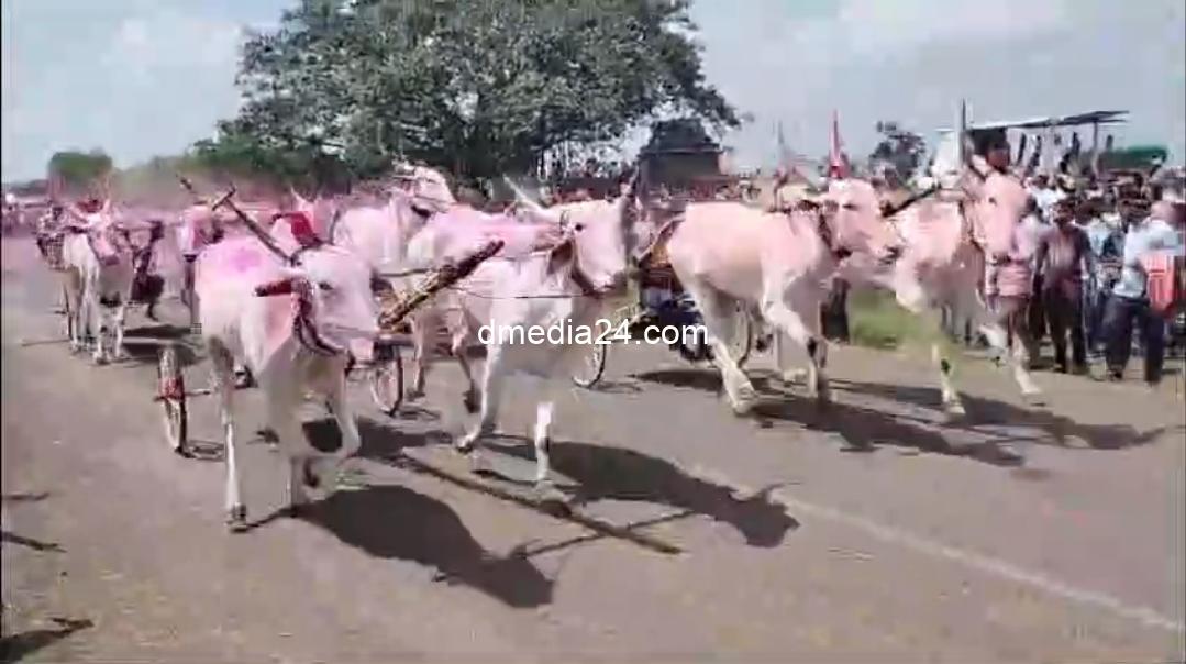 *बैलगाडी आणि घोडागाडी शर्यतीला उस्फुर्त प्रतिसाद*