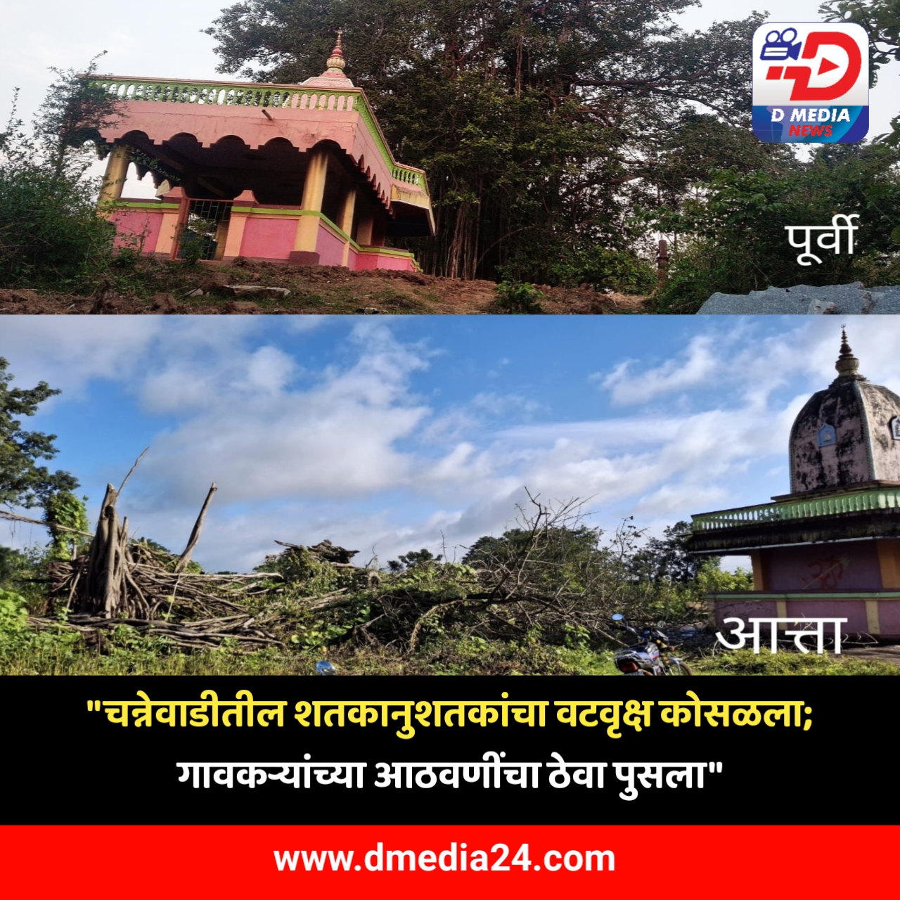 *”चन्नेवाडीतील शतकानुशतकांचा वटवृक्ष कोसळला”*